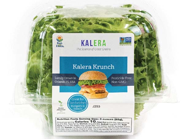 Kalera Expands Hydroponic Greens To Trader Joe’s Locations In Texas